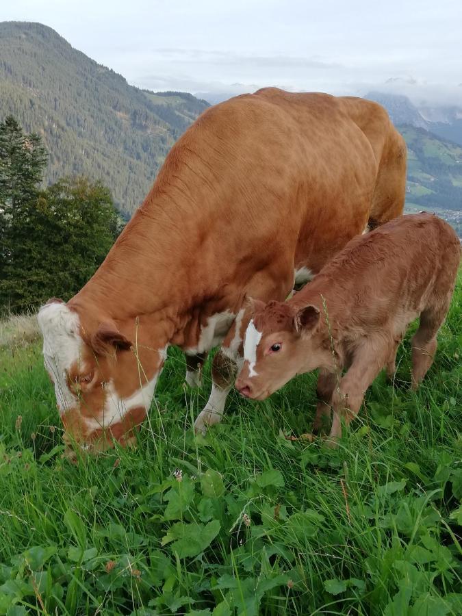 Willa Hahnenkammblick Kitzbühel Zewnętrze zdjęcie