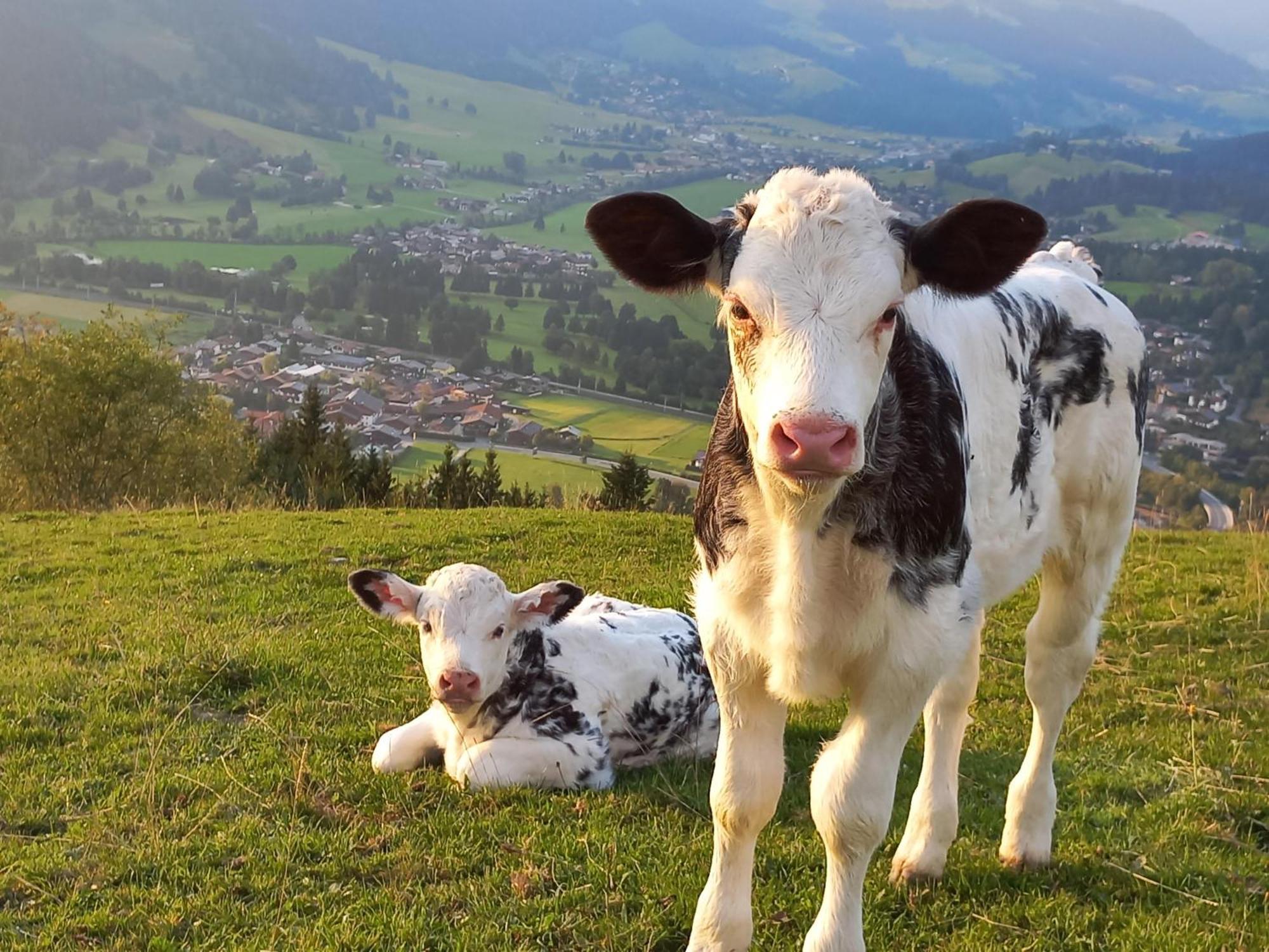 Willa Hahnenkammblick Kitzbühel Zewnętrze zdjęcie